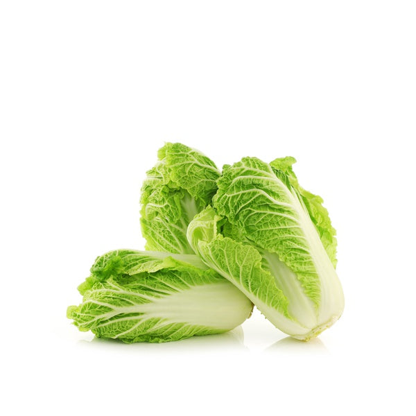 Chinese cabbage Holland