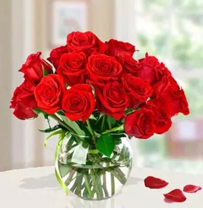 15 Red Roses Arrangement