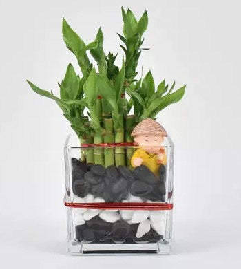 2 Layer Lucky Bamboo with Monk