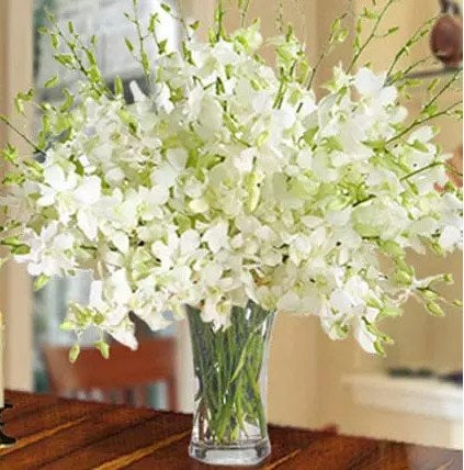 40 White Orchid Arrangement