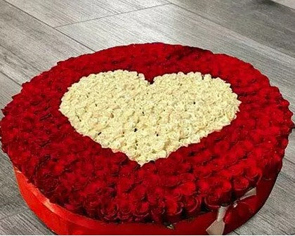 500 Magnificent Roses Arrangement
