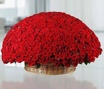 800 Red Roses Basket