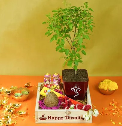 Auspicious Deepavali Hamper