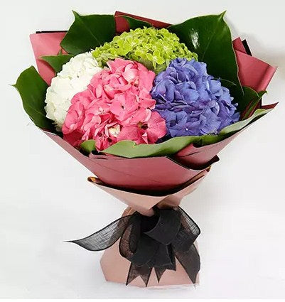 Beautiful 4 Colour Hydrangea Bouquet