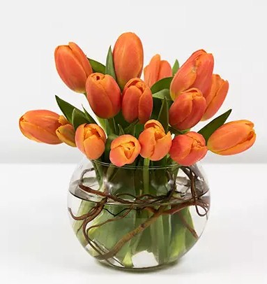 Beautiful Orange Tulips Fish Bowl