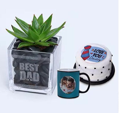 Best Dad Plant Mug n Cake Combo