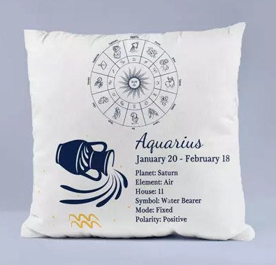 Cushion for Aquarius