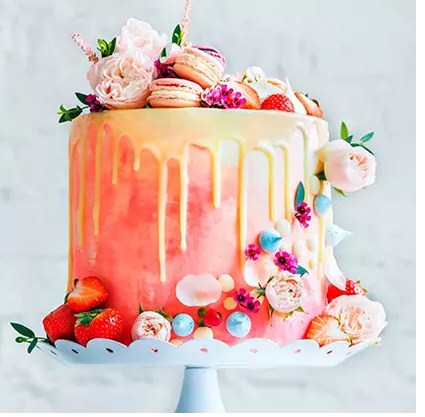 Delicious Fruity Cake 3 Kg Vanilla Flavour