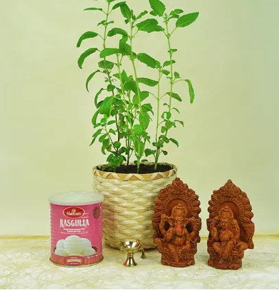 Divine Items With Tulsi Plant