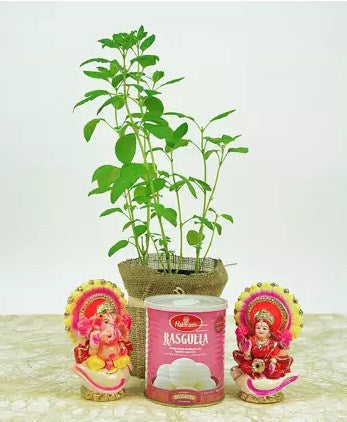 Diwali Gifts In Jute Wrapped Bag and Tulsi