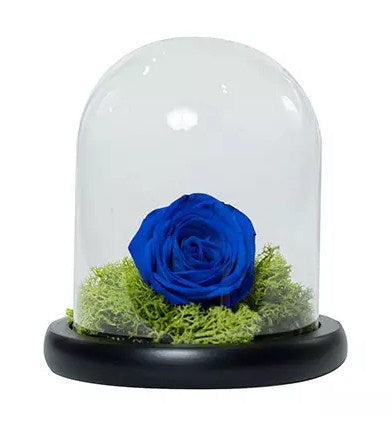 Elegant Blue Rose