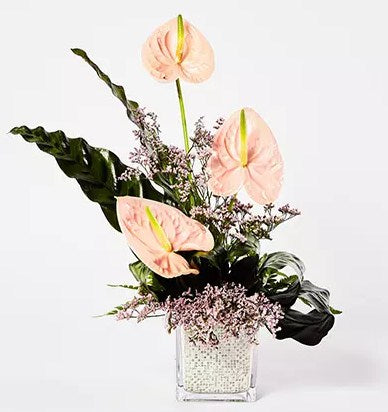 Peaceful Anthuriums Vase Arrangement