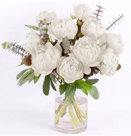 Perfect White Peonies