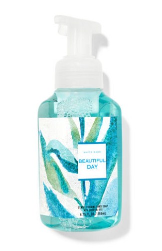 BEAUTIFUL DAY Gentle Foaming Hand Soap