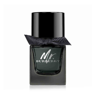 BURBERRY Mr. Burberry Eau de Parfum