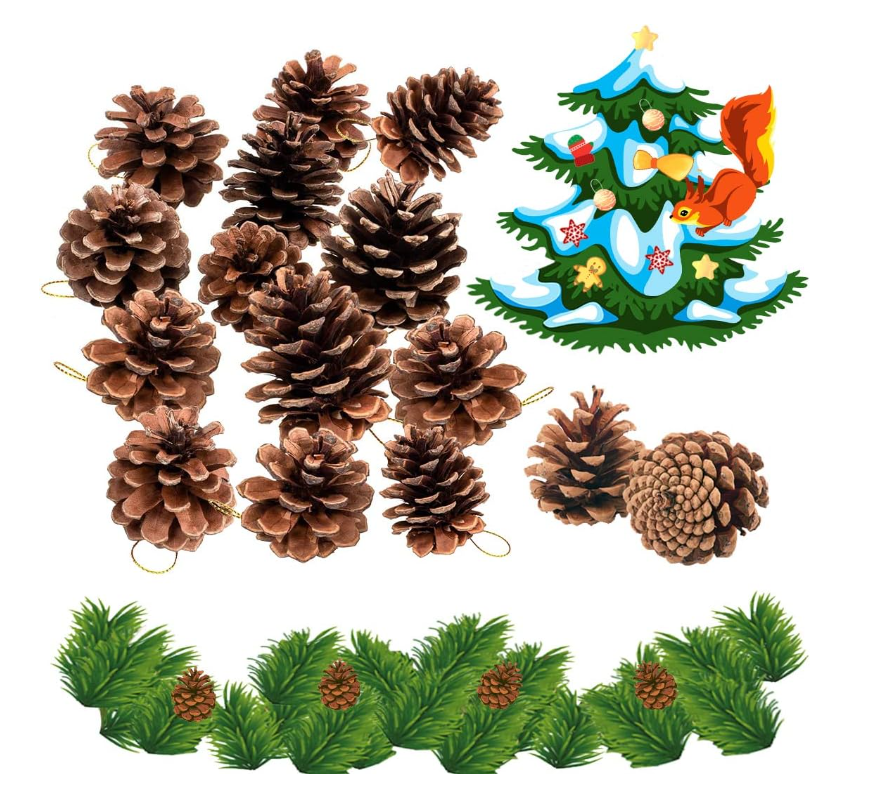 FUKPO 15 Pcs Christmas Pine Cones Set, Pine Cones for Craft Pine Cones Natural Bulk Ornaments, Rustic Pinecones for Crafts Pine Cone Decorations Christmas Tree Wreath Autumn Garland with Gold String