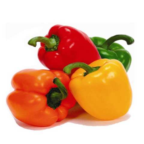 Organic Mixed Capsicums 500g