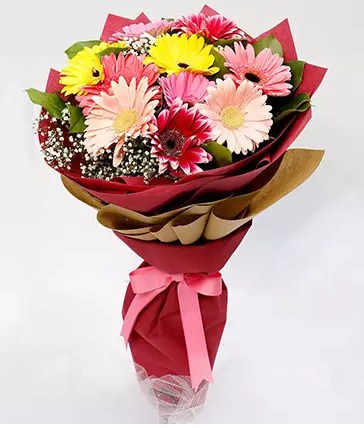 10 Gerberas Flowers Bouquet