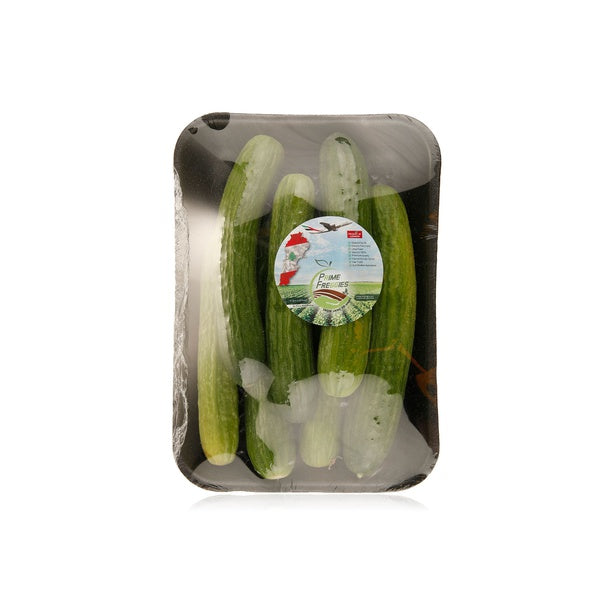 Cucumber Lebanon