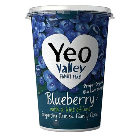 Yeo Valley BlueberryAnd Lime Yogurt 450g