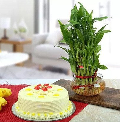 3 Layer Bamboo With Butterscotch Cake