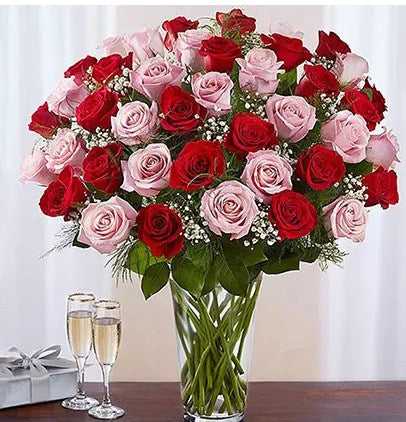 50 Vivid Red and Pink Roses In Vase