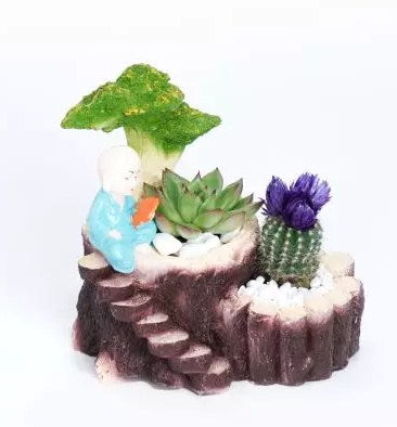 Echeveria and Cactus in Monk Planter
