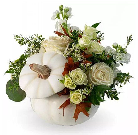 Elegant Blooms Arrangement in Pumpkin