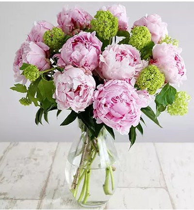 Elegant Pink Beauty