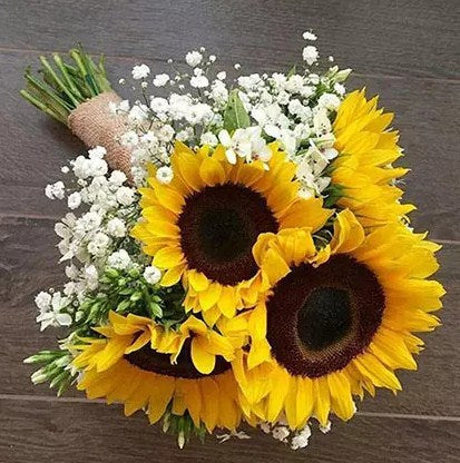 Enticing Sunflowers Beautifully Tied Bouquet