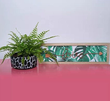 Nephroelepsis Plant With Frame
