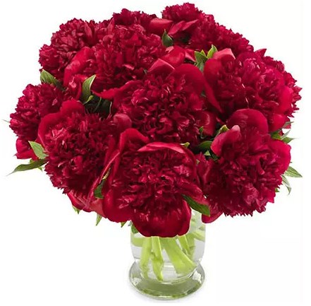 Passionate Red Peonies Vase