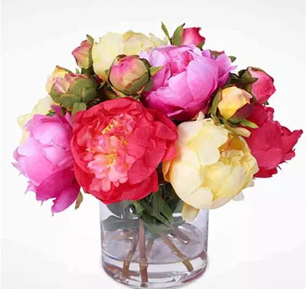 Pastel Dream Peonies Vase Arrangement