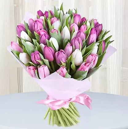 Pink White Tulips Bunch Standard