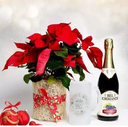 Poinsettia with Mug and Juice