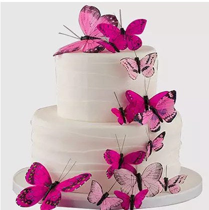 Pretty Pink Butterfly Chocolate Cake