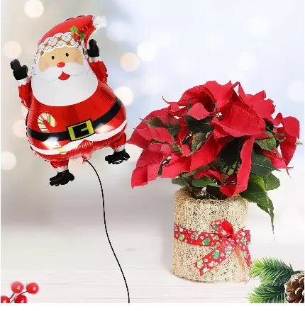 Santa Balloon and Poinsettia Plant
