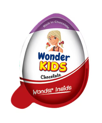 Pran Wonder Kids Chocolate 20g