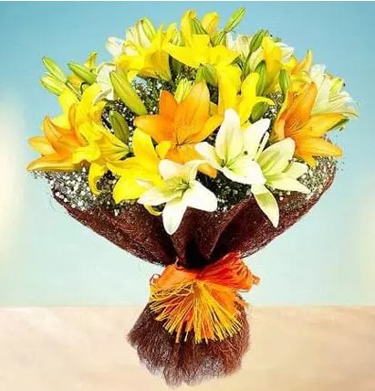 Sunny Asiatic Lilies Standard