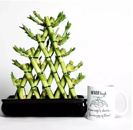 Triangle Shape Bamboo with Mug