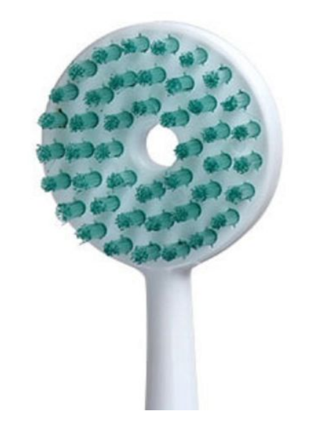 Tung - Professional Brush