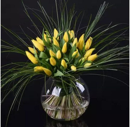 Vivid Tulip Delight