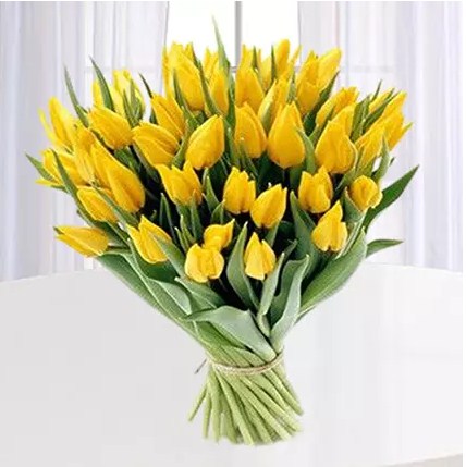 Yellow Tulips Bunch