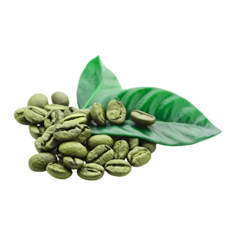 Bayara Premium Green Coffee