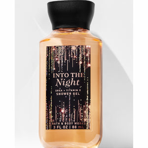 INTO THE NIGHT