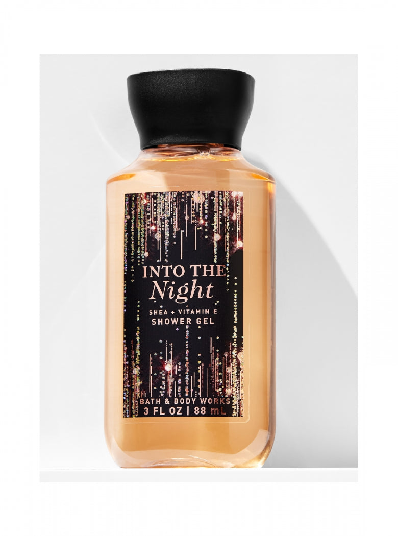 INTO THE NIGHT
