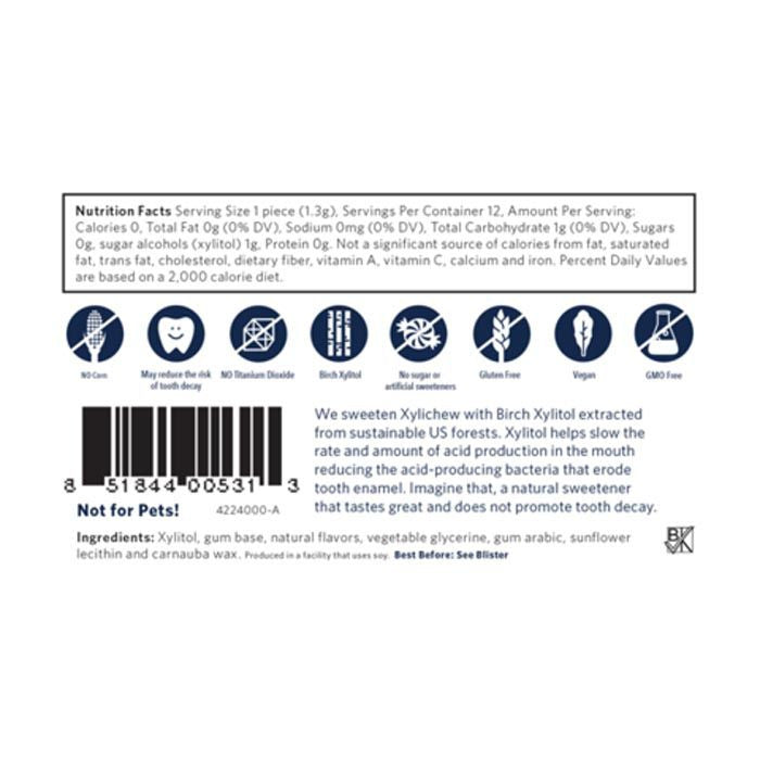 Xylichew Gum Ice Mint 12 Count