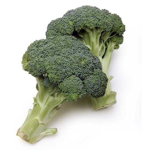Organic Broccoli 500g