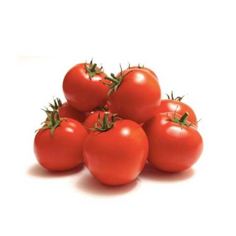 Organic Round Tomatos