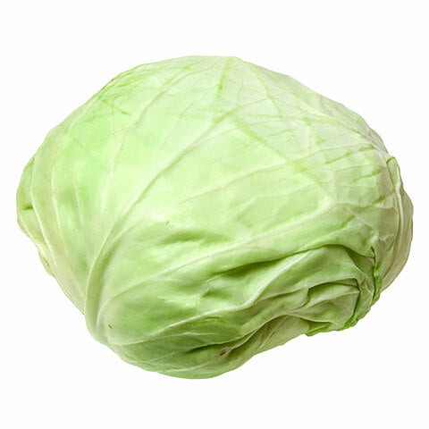 Organics White Cabbage